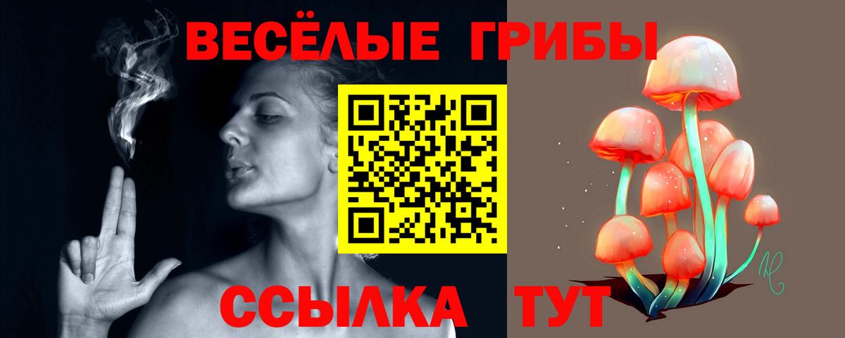 Псилоцибиновые грибы мухоморы Сердобск